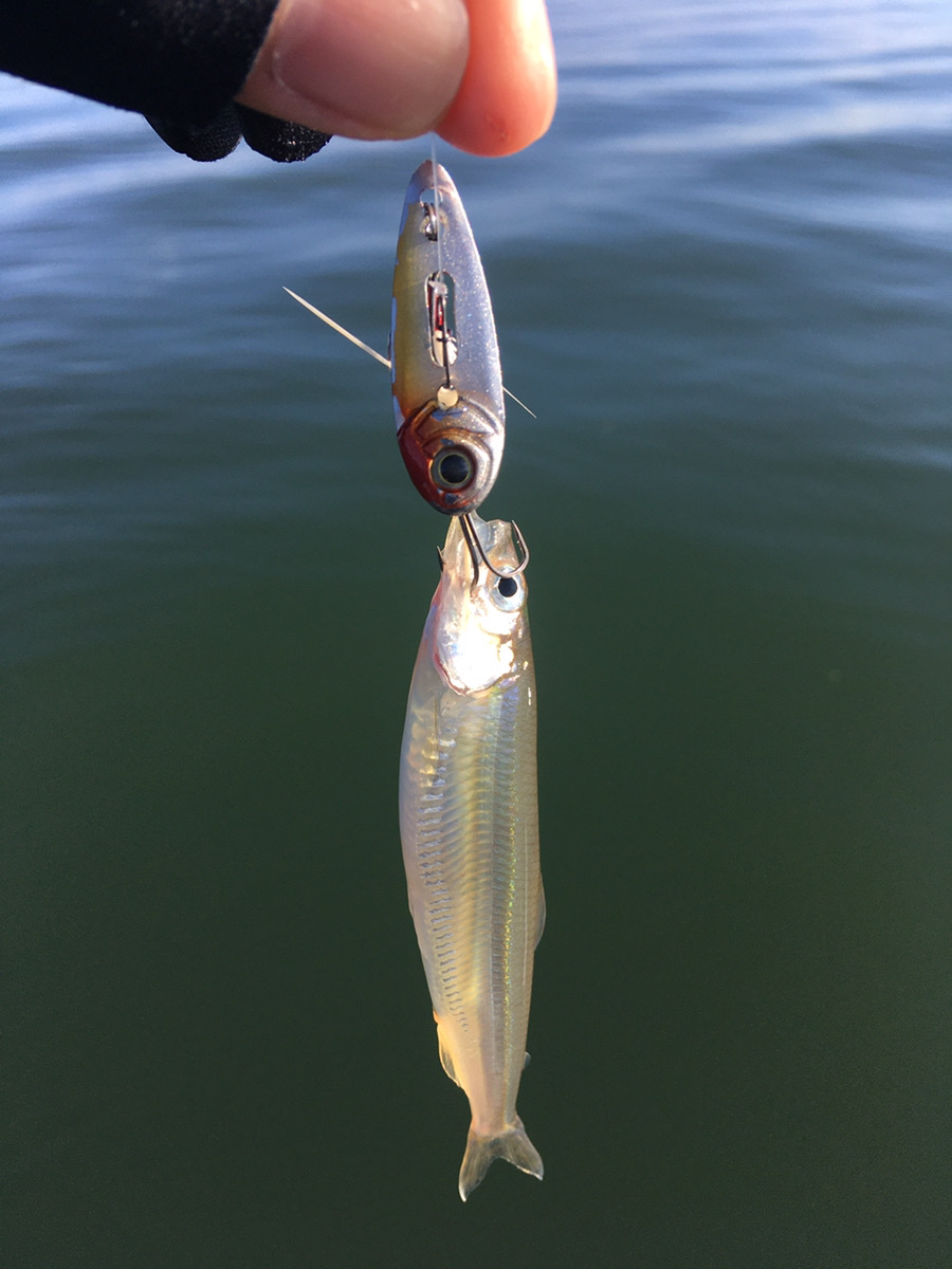 ルアー釣り、エサ釣り、に最適、ミニボートいかがでしょう。